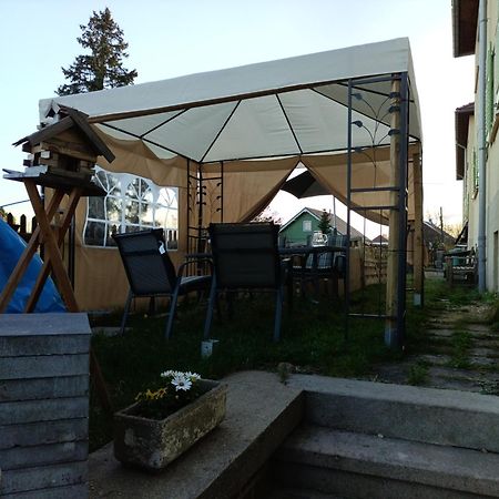 Ferienwohnung Finkenberg Sebnitz Esterno foto