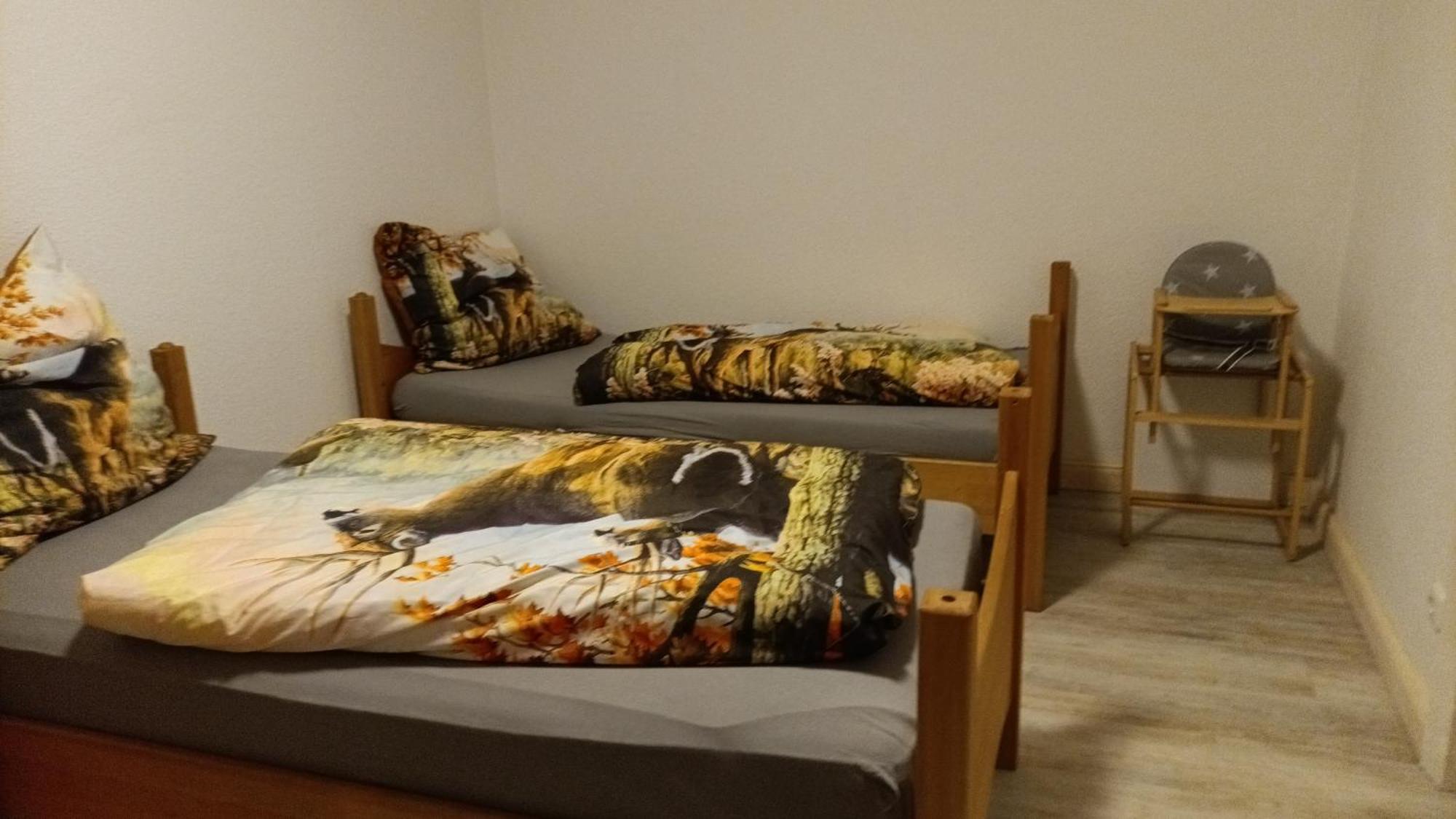 Ferienwohnung Finkenberg Sebnitz Esterno foto